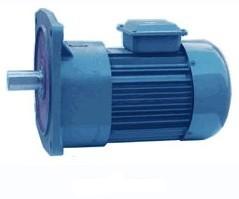 立式 微型齒輪馬達(dá)